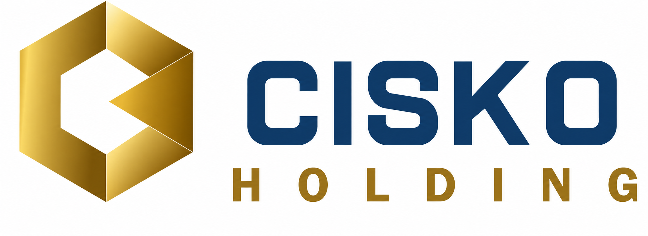 CISKO Holding
